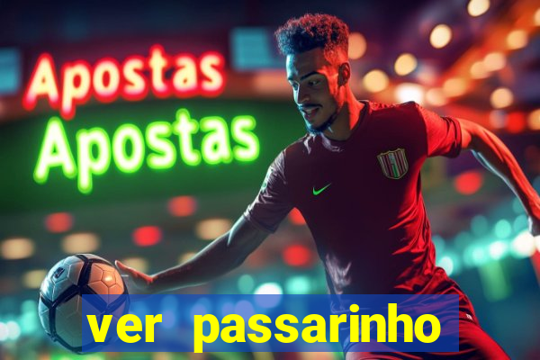 ver passarinho morto significado
