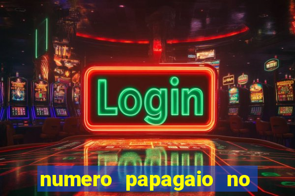numero papagaio no jogo do bicho