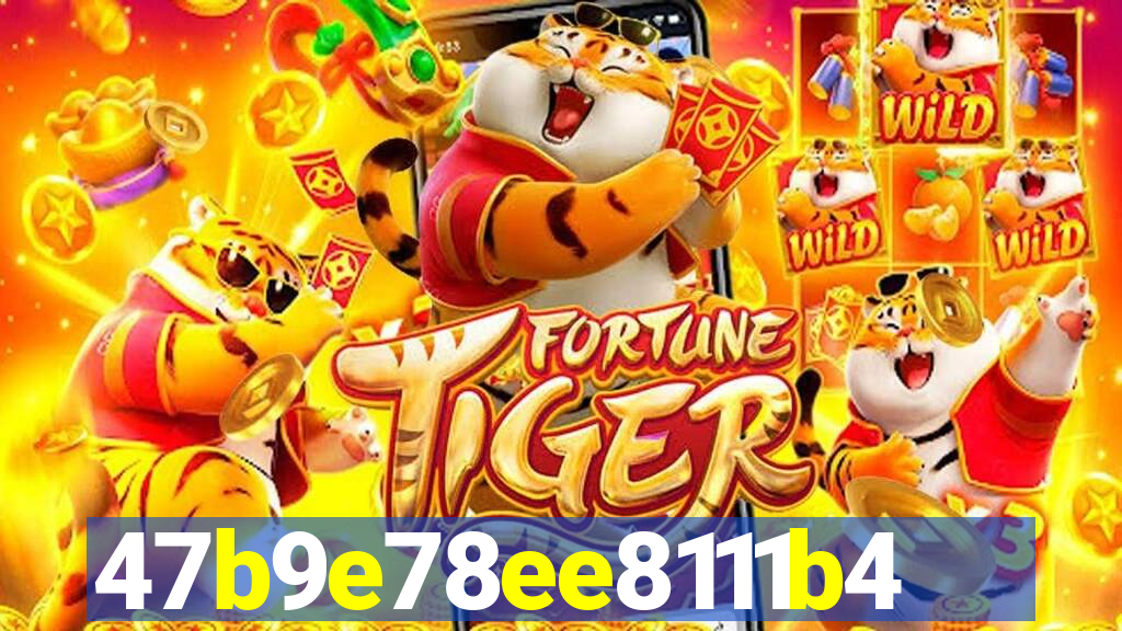 535bet.net