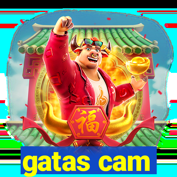 gatas cam