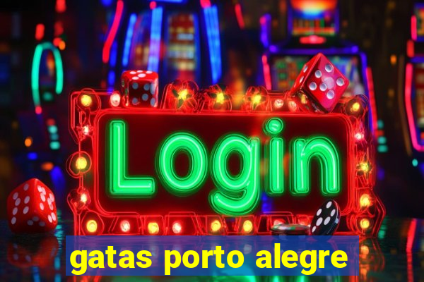 gatas porto alegre