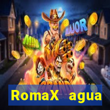 RomaX agua sanitaria fispq agua sanitaria romax