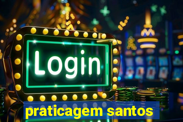 praticagem santos
