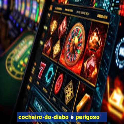 cocheiro-do-diabo é perigoso