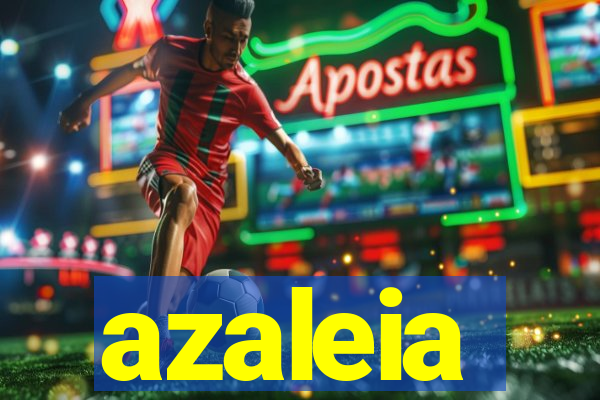 azaleia-br.com