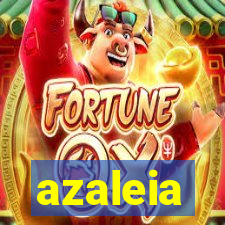 azaleia-br.com