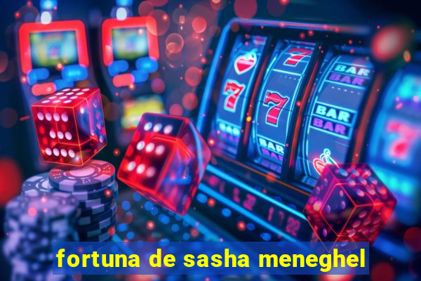 fortuna de sasha meneghel