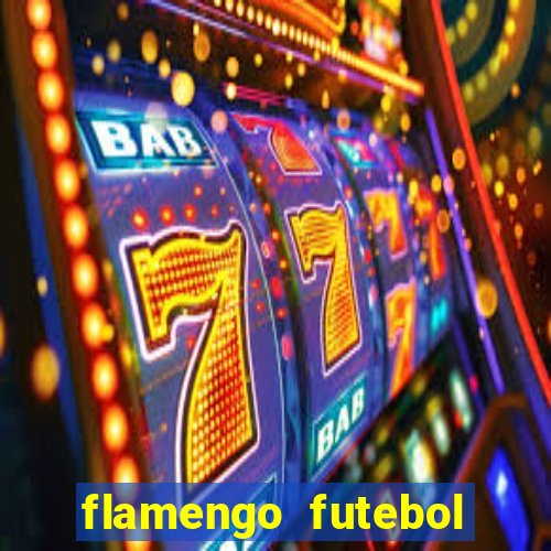 flamengo futebol play hd