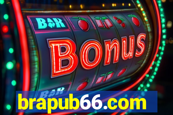 brapub66.com