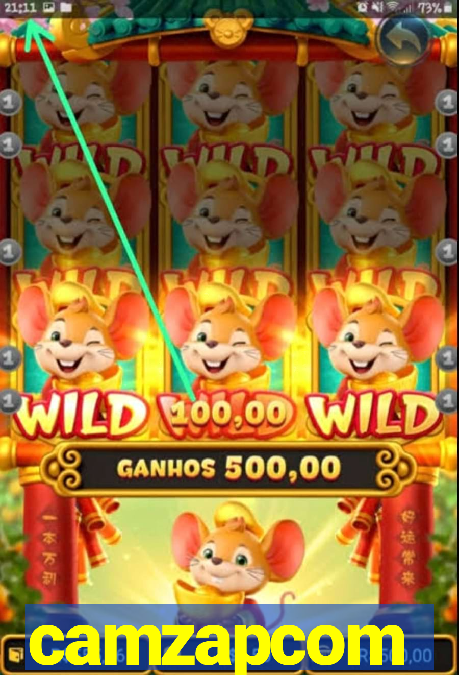 camzapcom