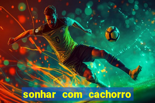 sonhar com cachorro morto jogo do bicho