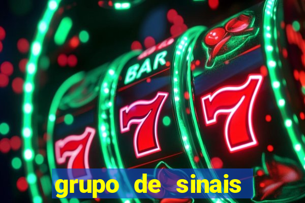 grupo de sinais fortune rabbit