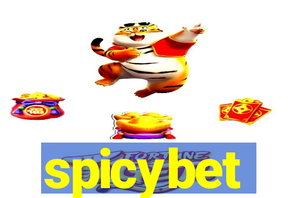 spicybet-4.com