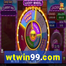 wtwin99.com