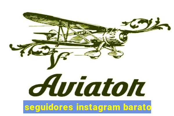 seguidores instagram barato