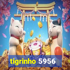 tigrinho 5956