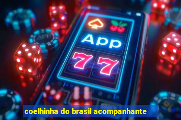 coelhinha do brasil acompanhante