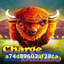 648 bet