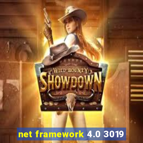 net framework 4.0 3019