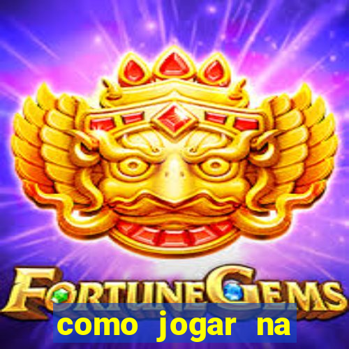 como jogar na teimosinha da lotofacil