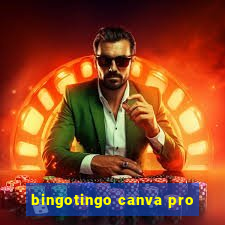 bingotingo canva pro