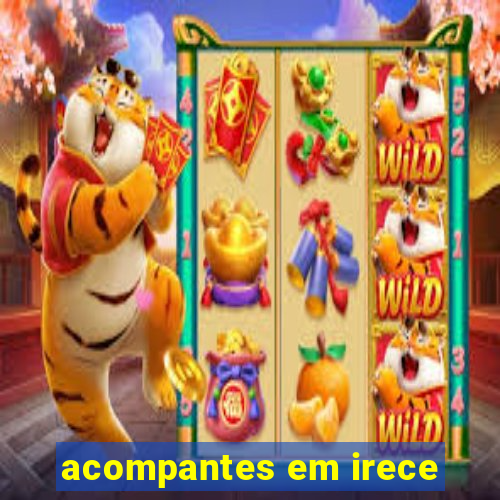 acompantes em irece